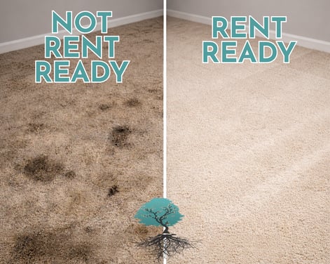 Knowledge Base Disclosure Article